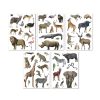 Stikers savannah theme animals 5s APLI KIDS