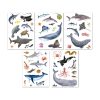 Stikers theme marine animals 5s APLI KIDS